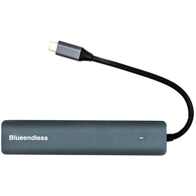 Blueendless CA913909