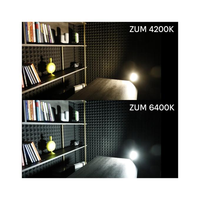 Євросвітло ZUM F02-50 4200K