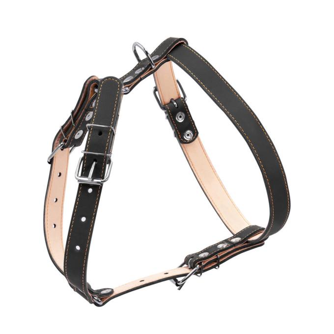 Collar 06421