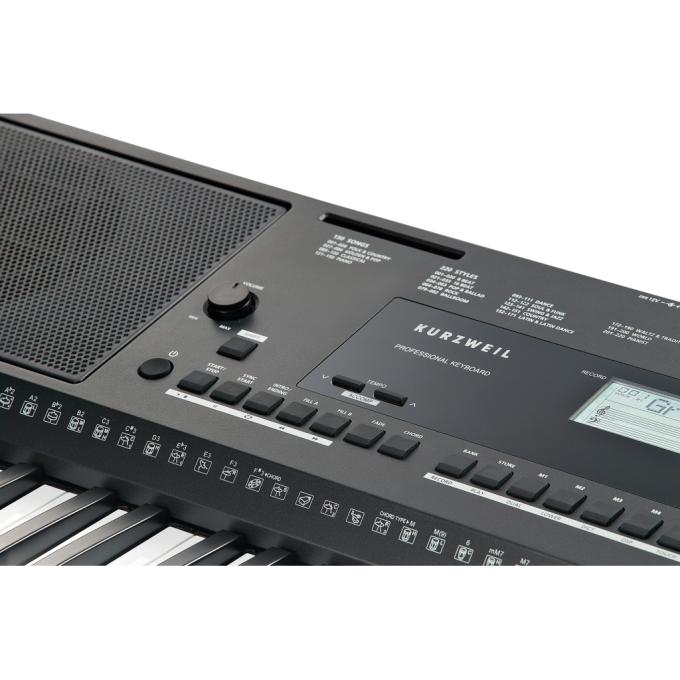Kurzweil 283682
