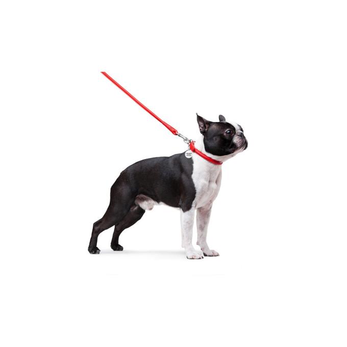 WAUDOG 33773