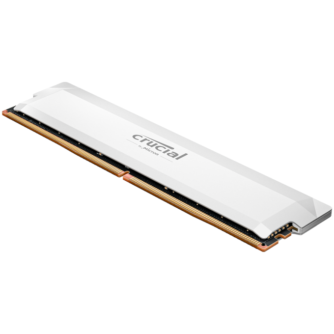Crucial CP16G64C38U5W