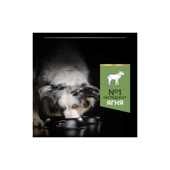 Purina Pro Plan 7613035214798