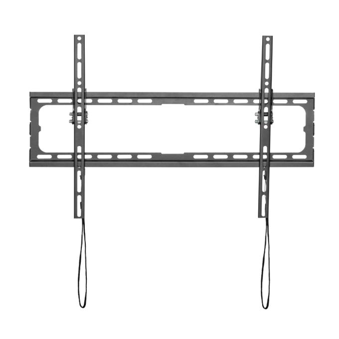 Kivi Basic-46T