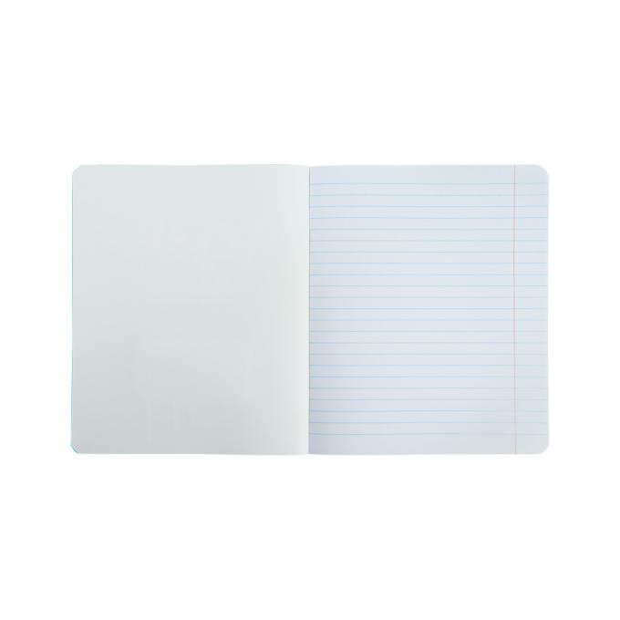 Kite DC23-239