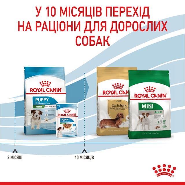 Royal Canin 30000082