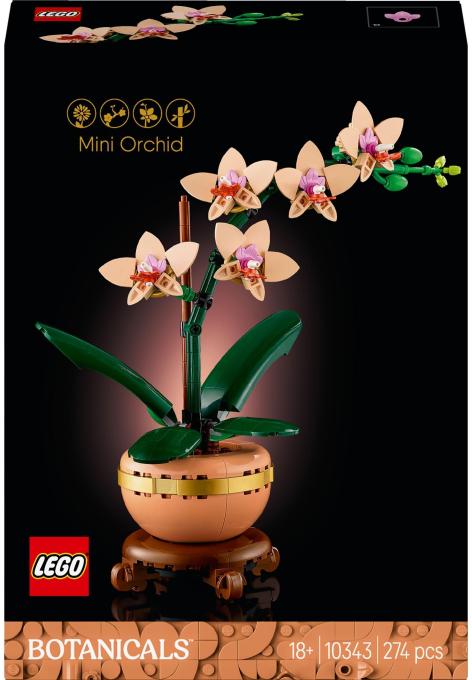 LEGO 10343