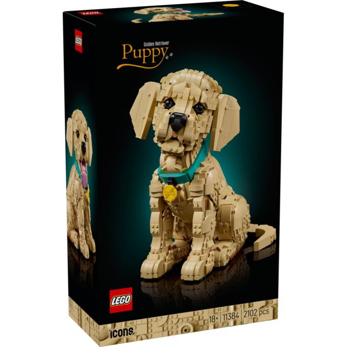 LEGO 11384