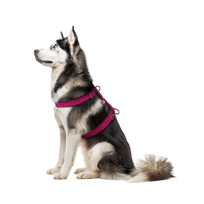 WAUDOG 323-0049