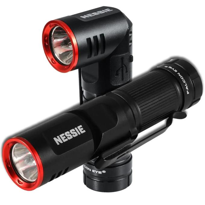 Falcon Eye DAS303984