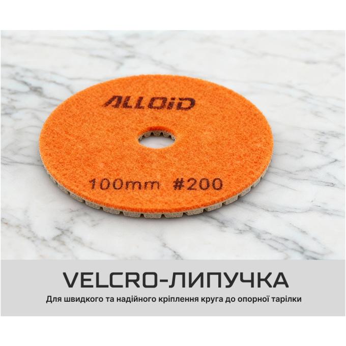 Alloid DD-63286