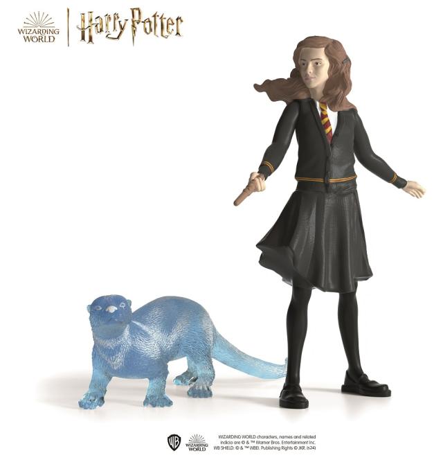 HARRY POTTER 42681