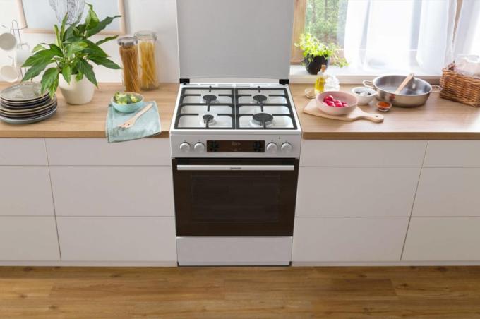 Gorenje 745438