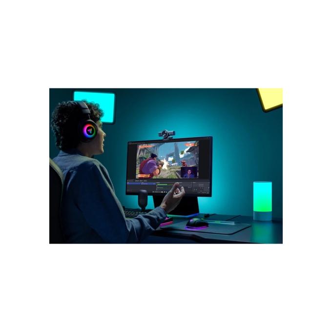 Razer RZ19-05380100-R3M1