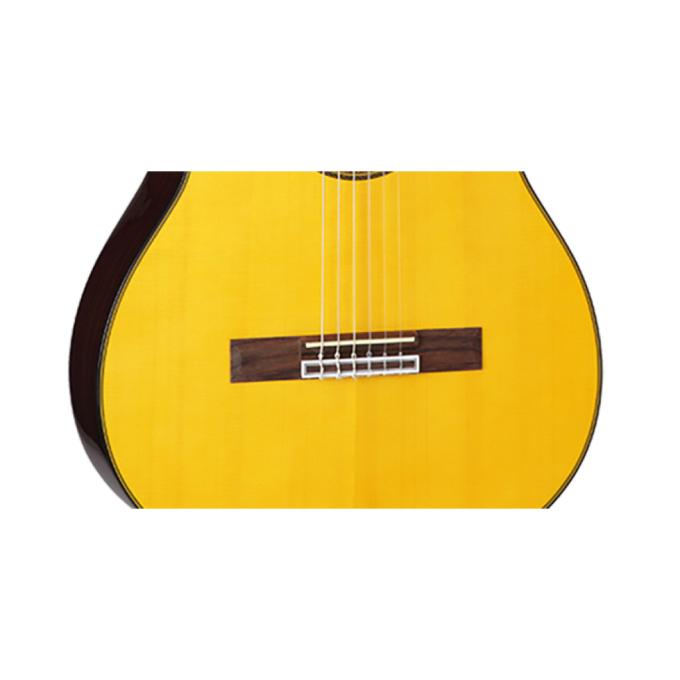 Takamine 221976