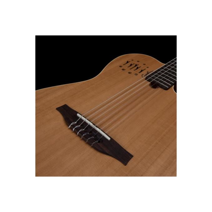 Godin 235917