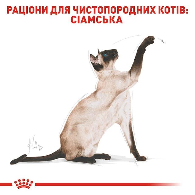 Royal Canin 2551004