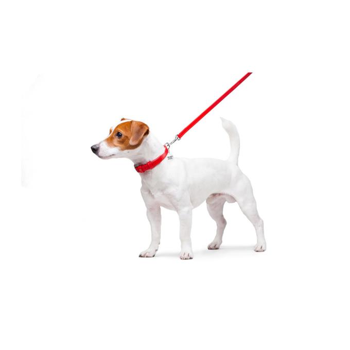 WAUDOG 33723
