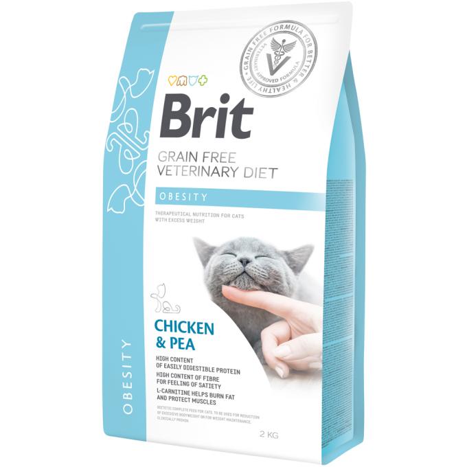 Brit GF VetDiets 8595602528479