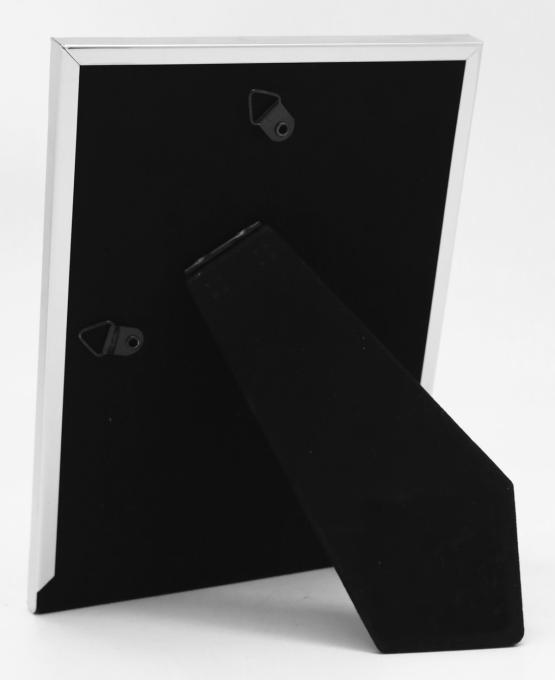 EVG S01 Silver