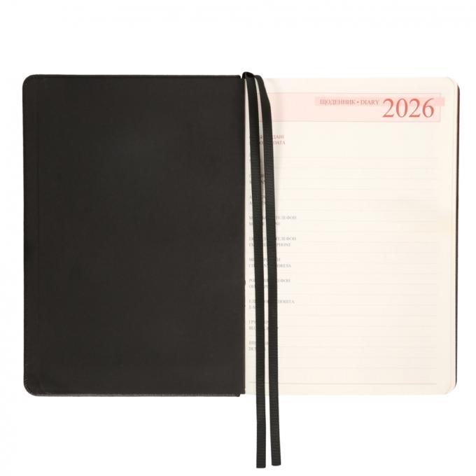 Leo planner 252684