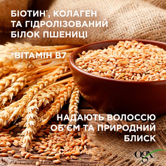 OGX 0022796976703