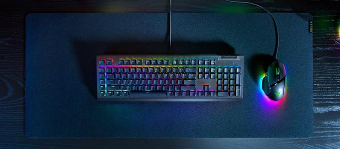 Razer RZ03-04700800-R3R1