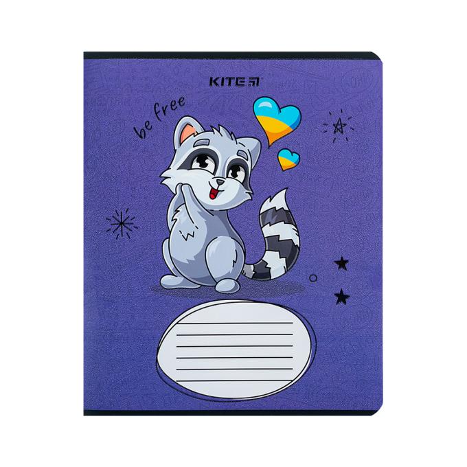 Kite K24-234-2