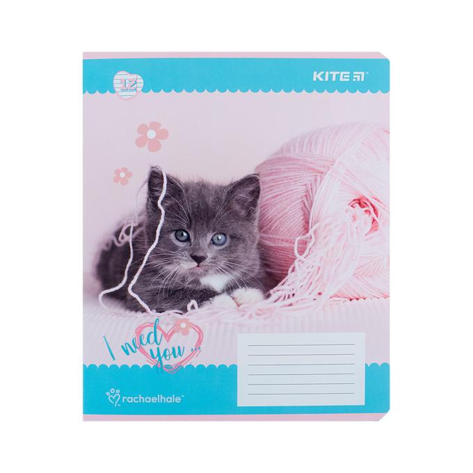 Kite R24-234
