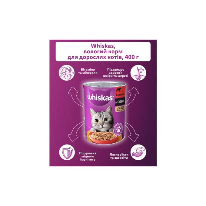 Whiskas 5900951305382