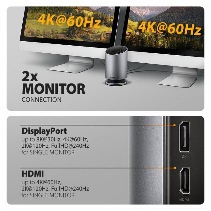 AXAGON HMC-WL9