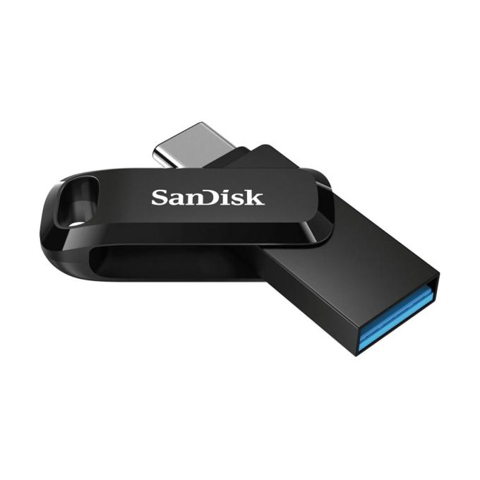 SANDISK SDDDC3-256G-G46