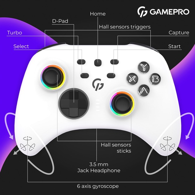 GamePro GPX13W