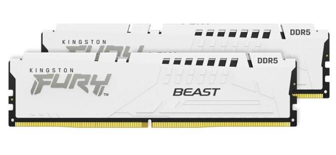 Kingston KF556C36BWEK2-32