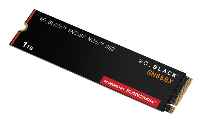 WD WDS100T2X0E