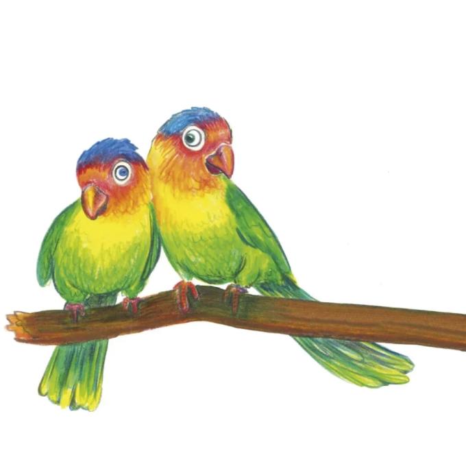 Faber-Castell 21615