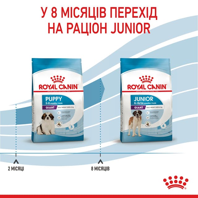 Royal Canin 3030010