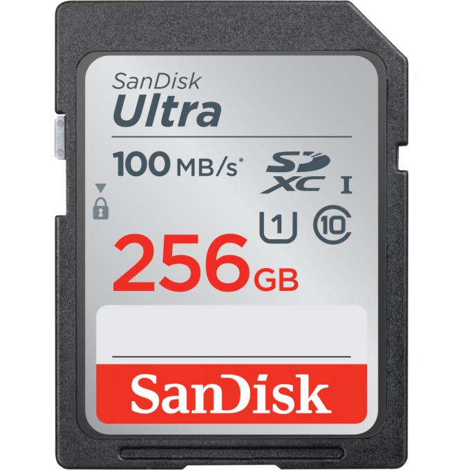 SANDISK SDSDUNR-256G-GN3IN