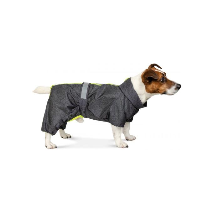 Pet Fashion 4823082416356