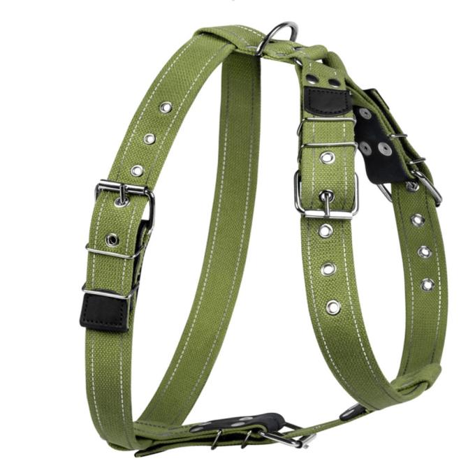 Collar 0646