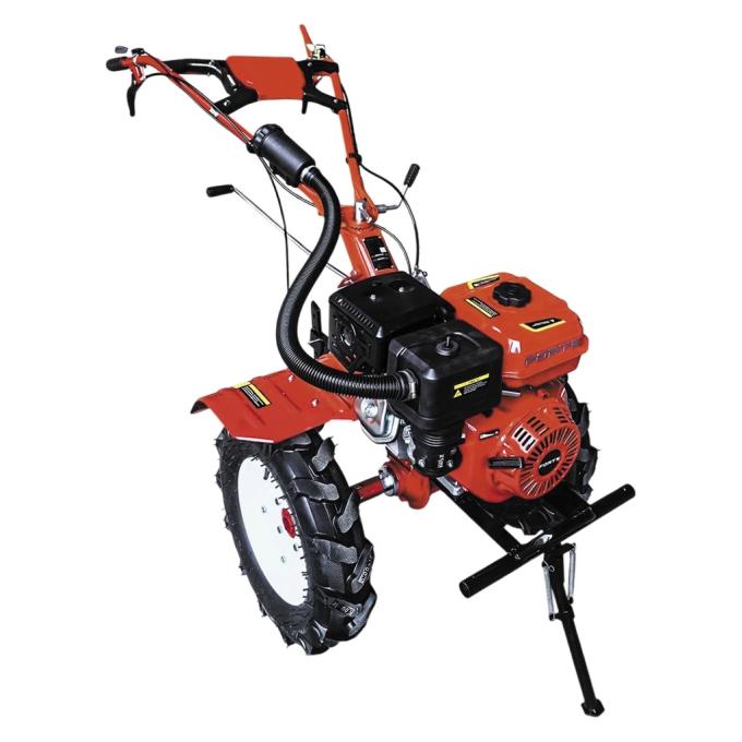 FORTE 135250