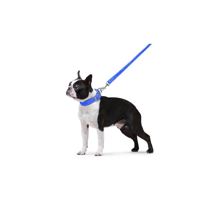 Dog Extreme 42982