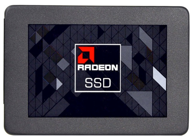 AMD R5SL256G