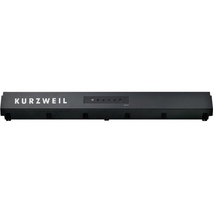 Kurzweil 283682
