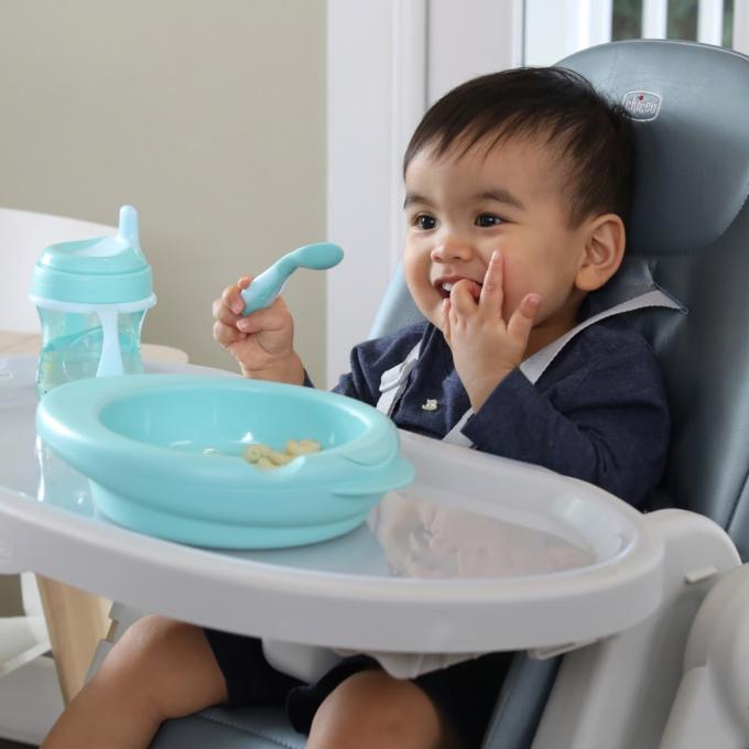 Chicco 16200.25
