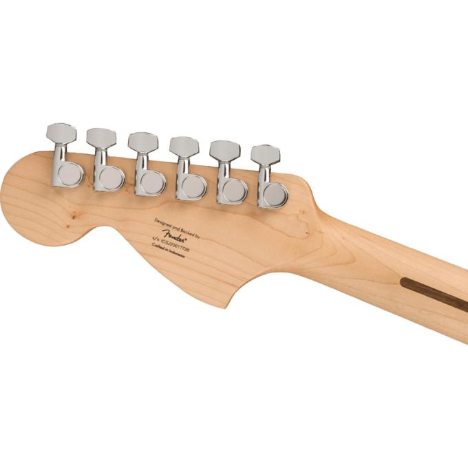 Squier by Fender 231526