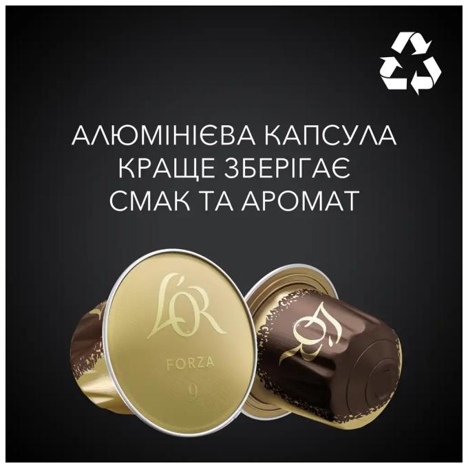 L'OR 8711000357934