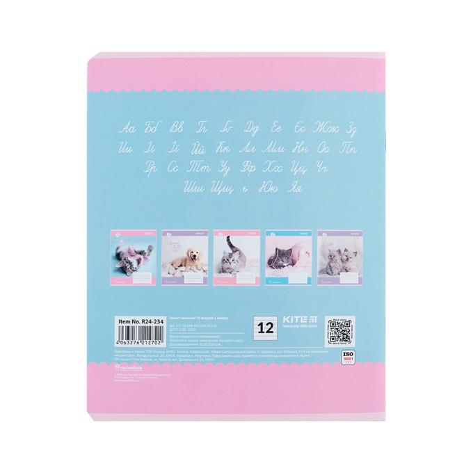 Kite R24-234