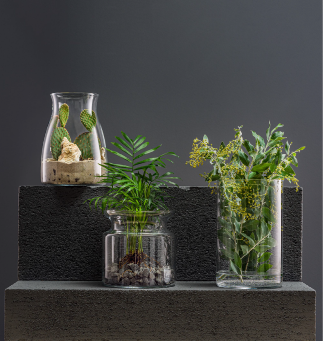 TRENDGLASS 35722