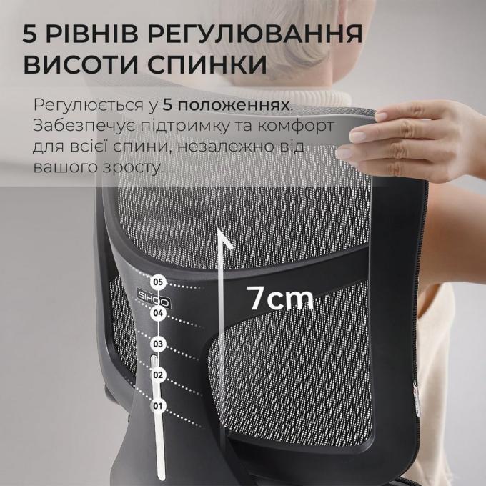 Sihoo S100-M301